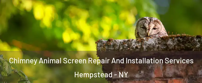  Chimney Animal Screen Repair And Installation Services Hempstead - NY