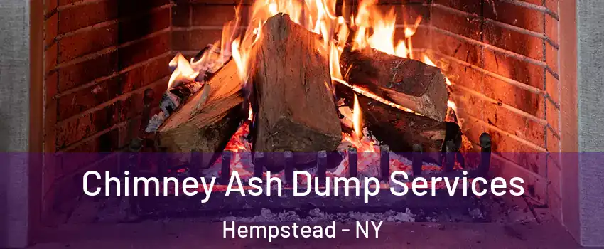  Chimney Ash Dump Services Hempstead - NY