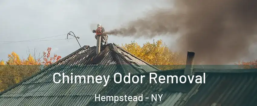  Chimney Odor Removal Hempstead - NY