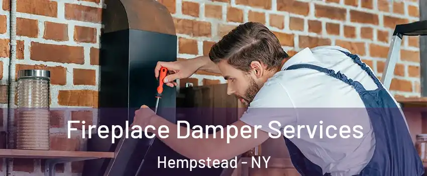  Fireplace Damper Services Hempstead - NY