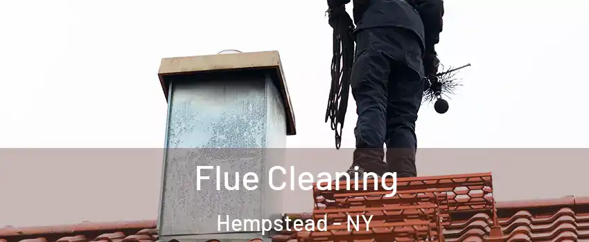  Flue Cleaning Hempstead - NY