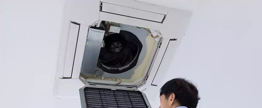 Benefits of Professional Air Duct Cleaning in Hempstead, New York