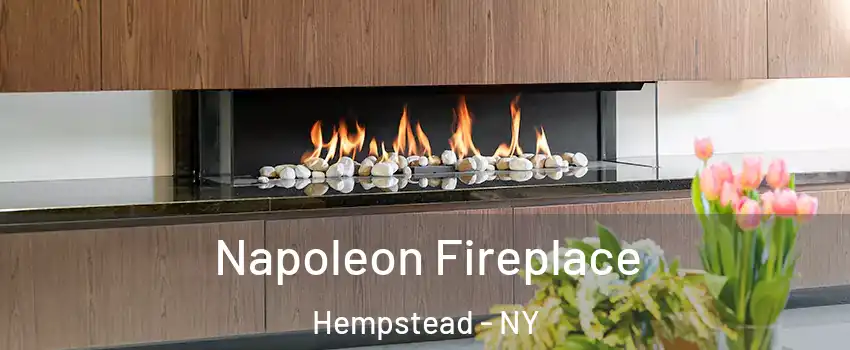  Napoleon Fireplace Hempstead - NY